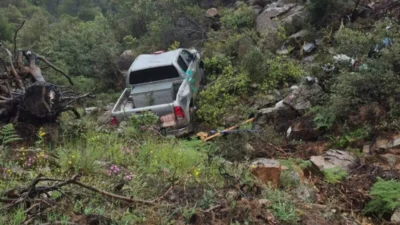 Hatay’ın Antakya ilçesine bağlı Serinyol Mahallesi’nde bulunan ormanlık alanda meydana