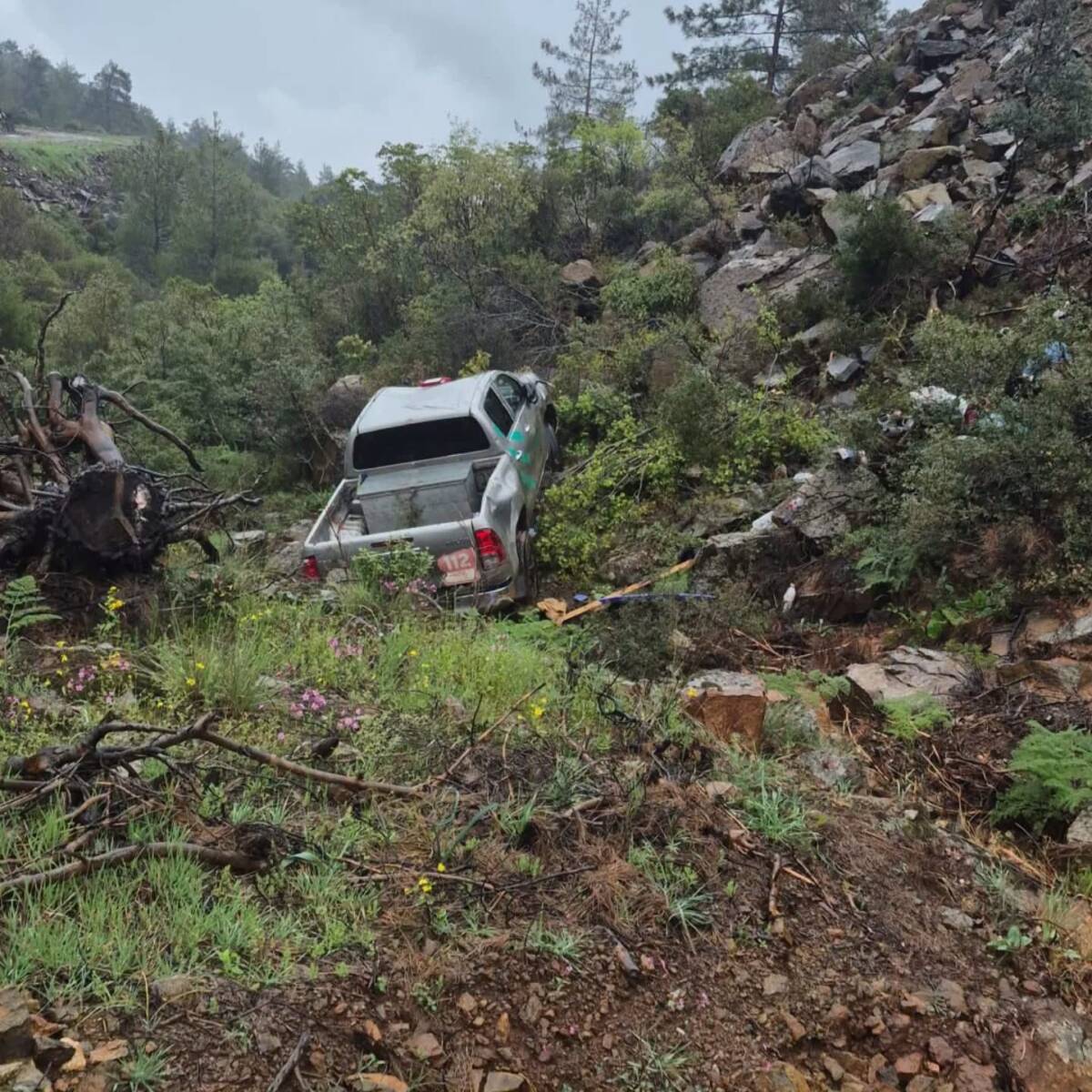 Hatay’ın Antakya ilçesine bağlı Serinyol Mahallesi’nde bulunan ormanlık alanda meydana
