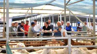 Yaklaşan Kurban Bayramı öncesinde kurbanlık hayvan fiyatlarının belirlenmesine yönelik çalışmalar