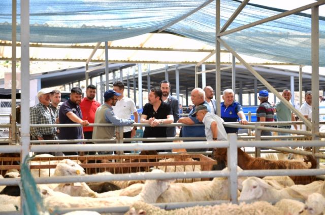 Yaklaşan Kurban Bayramı öncesinde kurbanlık hayvan fiyatlarının belirlenmesine yönelik çalışmalar