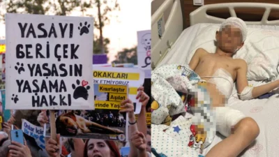 Van’da 5 yaşındaki Hamza’nın hayatını kaybettiği saldırı sonrası Türkiye ayağa