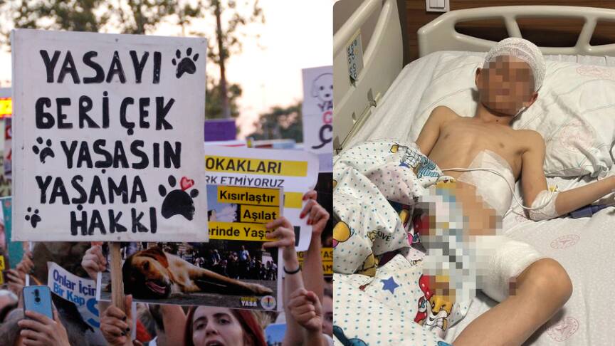 Van’da 5 yaşındaki Hamza’nın hayatını kaybettiği saldırı sonrası Türkiye ayağa