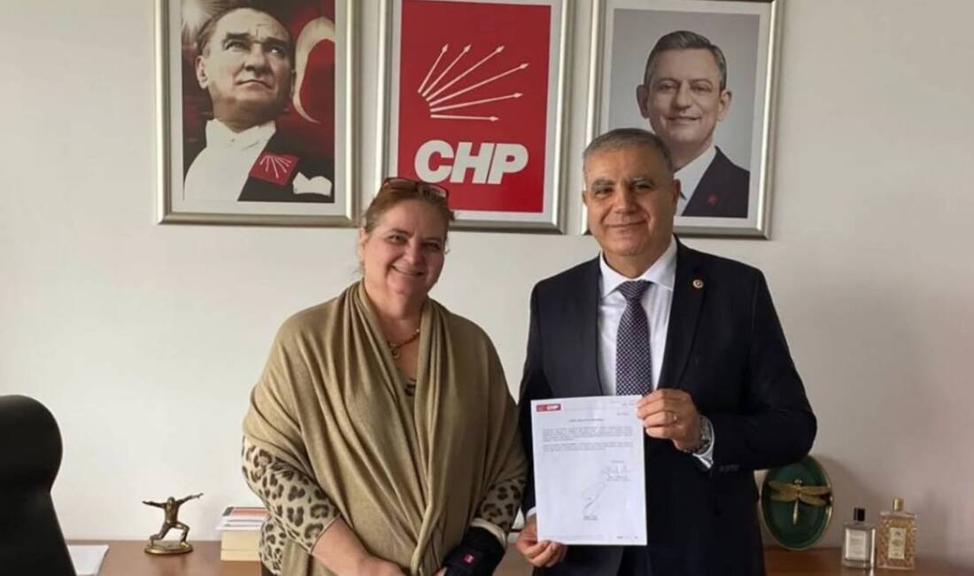 Cumhuriyet Halk Partisi Hatay Milletvekili Mehmet Güzelmansur, İşveren Örgütleri, Meslek