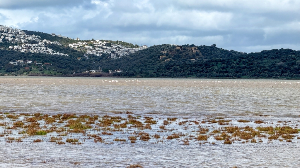 Akdeniz’de sulak alanların korunması için Tunus’ta bir araya gelen 20