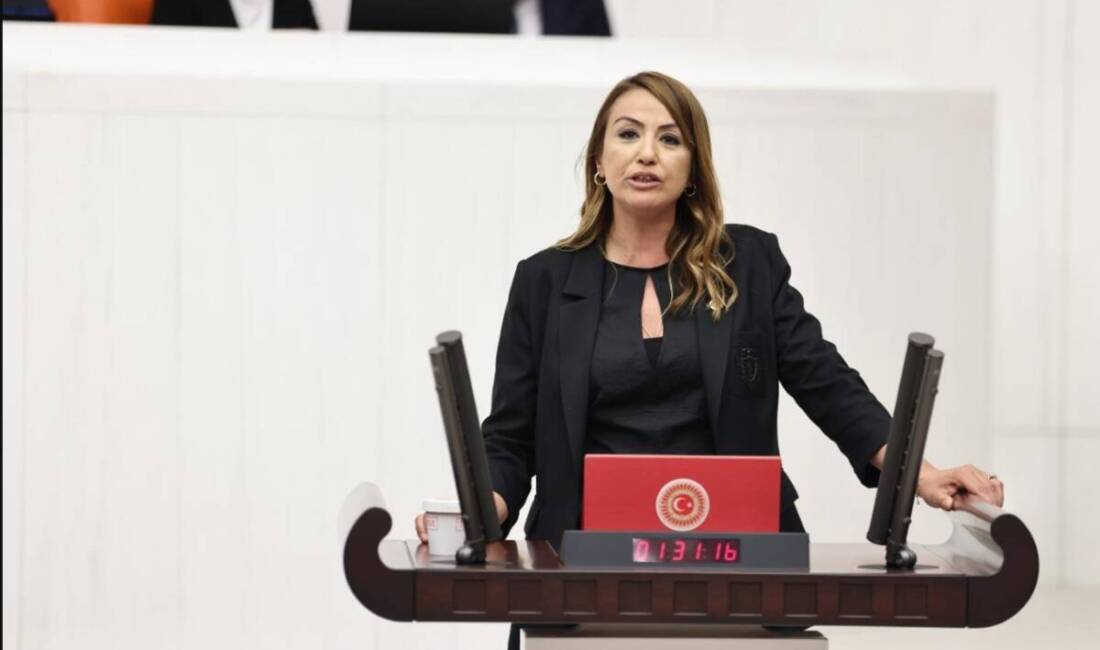 Cumhuriyet Halk Partisi Hatay Milletvekili Nermin Yıldırım Kara, Türkiye Büyük