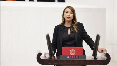 Cumhuriyet Halk Partisi Hatay Milletvekili Nermin Yıldırım Kara, Türkiye Büyük