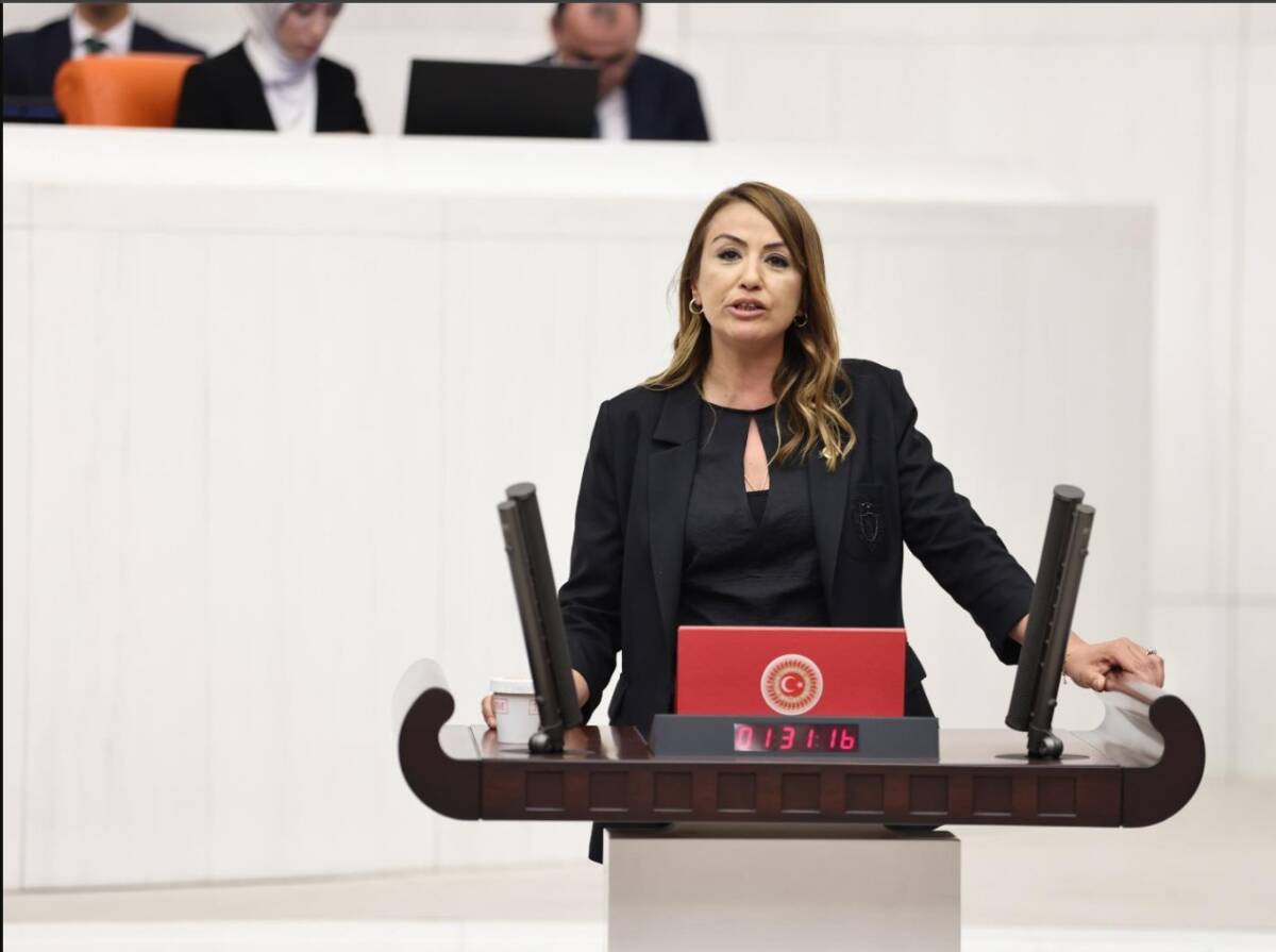 Cumhuriyet Halk Partisi Hatay Milletvekili Nermin Yıldırım Kara, Türkiye Büyük