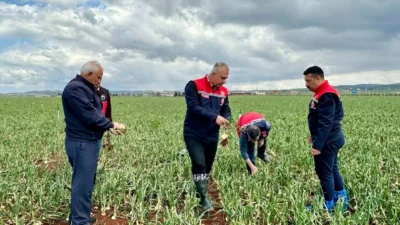 Hatay’da etkili olan aşırı yağışlar sonrası Antakya ve Reyhanlı’da tarım