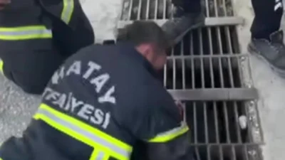 Hatay’da mazgala düşen bir civciv için zamanla yarışan ekipler, duyarlı