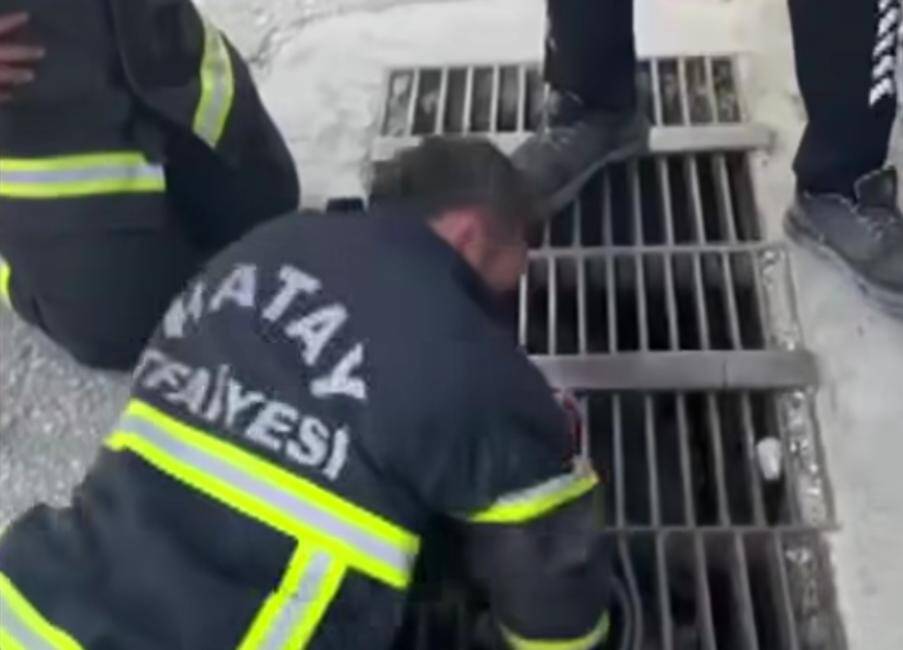 Hatay’da mazgala düşen bir civciv için zamanla yarışan ekipler, duyarlı