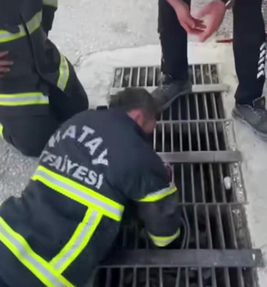 Hatay’da mazgala düşen bir civciv için zamanla yarışan ekipler, duyarlı