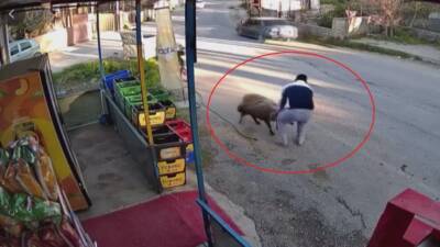 Hatay'da esnaflık yapan Mustafa Ataman, iş yerinin önünde bulunan 3