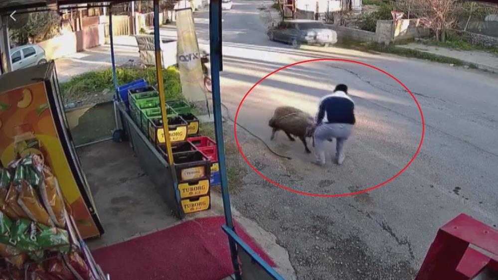 Hatay'da esnaflık yapan Mustafa Ataman, iş yerinin önünde bulunan 3