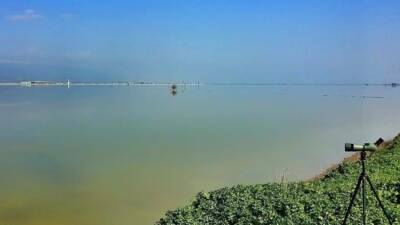 Son yağışlarla birlikte Amik Ovası’nda yeniden su birikintilerinin oluşması, yıllar