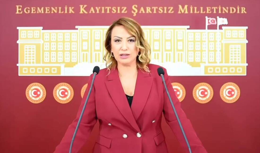 Hatay’da CHP Hatay Milletvekili Nermin Yıldırım Kara, Türkiye Büyük Millet