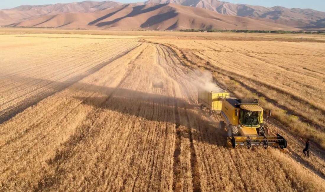 Ticaret borsalarında 17 Nisan 2026 haftanın son işlem günü hububat