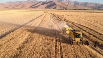 Ticaret borsalarında 17 Nisan 2026 haftanın son işlem günü hububat