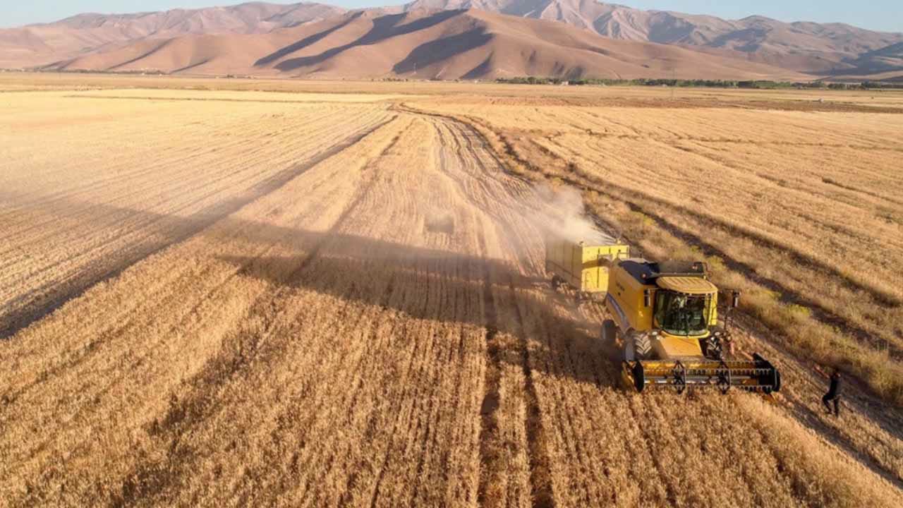 Ticaret borsalarında 17 Nisan 2026 haftanın son işlem günü hububat