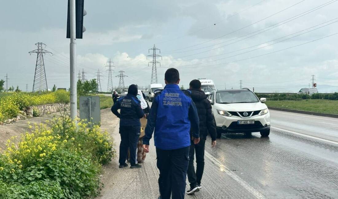 Hatay Büyükşehir Belediyesi (HBB), kent genelinde dilencilik faaliyetlerine karşı yürüttüğü