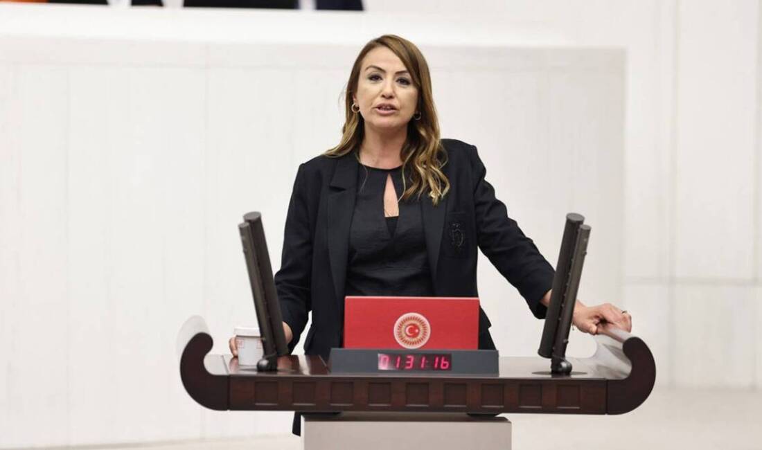 CHP Hatay Milletvekili Nermin Yıldırım Kara, Türkiye Büyük Millet Meclisi