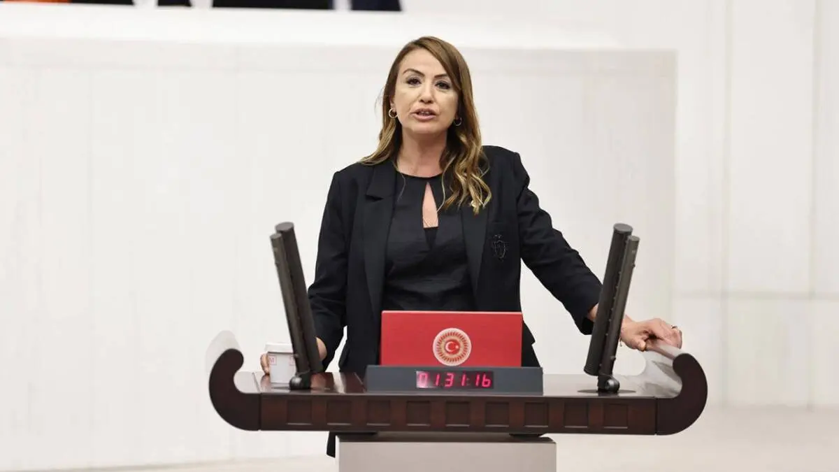 CHP Hatay Milletvekili Nermin Yıldırım Kara, Türkiye Büyük Millet Meclisi