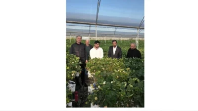 -Tam otomasyonlu topraksız üretimle 3 kat daha fazla ve yılın