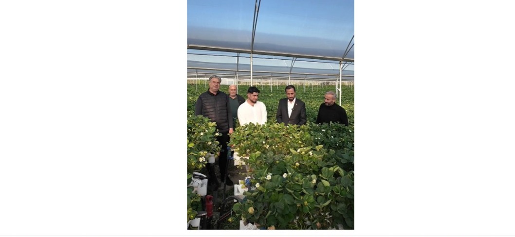 -Tam otomasyonlu topraksız üretimle 3 kat daha fazla ve yılın