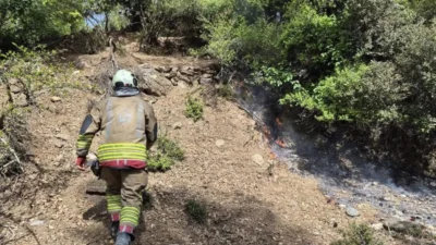 Hatay’ın İskenderun ilçesinde yayla bölgesinde çıkan orman yangını, ekiplerin hızlı