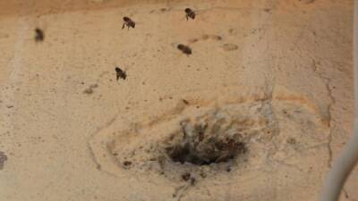 Hatay'da 2 katlı binanın giriş katındaki duvarda bulunan delikten içeri