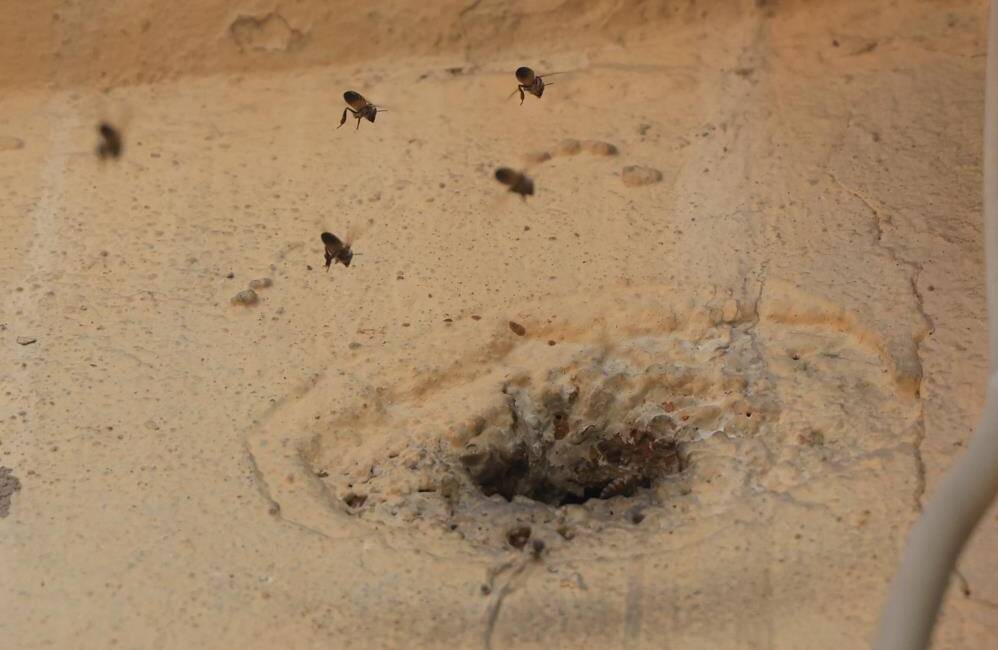 Hatay'da 2 katlı binanın giriş katındaki duvarda bulunan delikten içeri