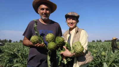 Hatay'da akademisyen çiftçi Elif Ovalı tarafından 5 dönüm arazide başlayan