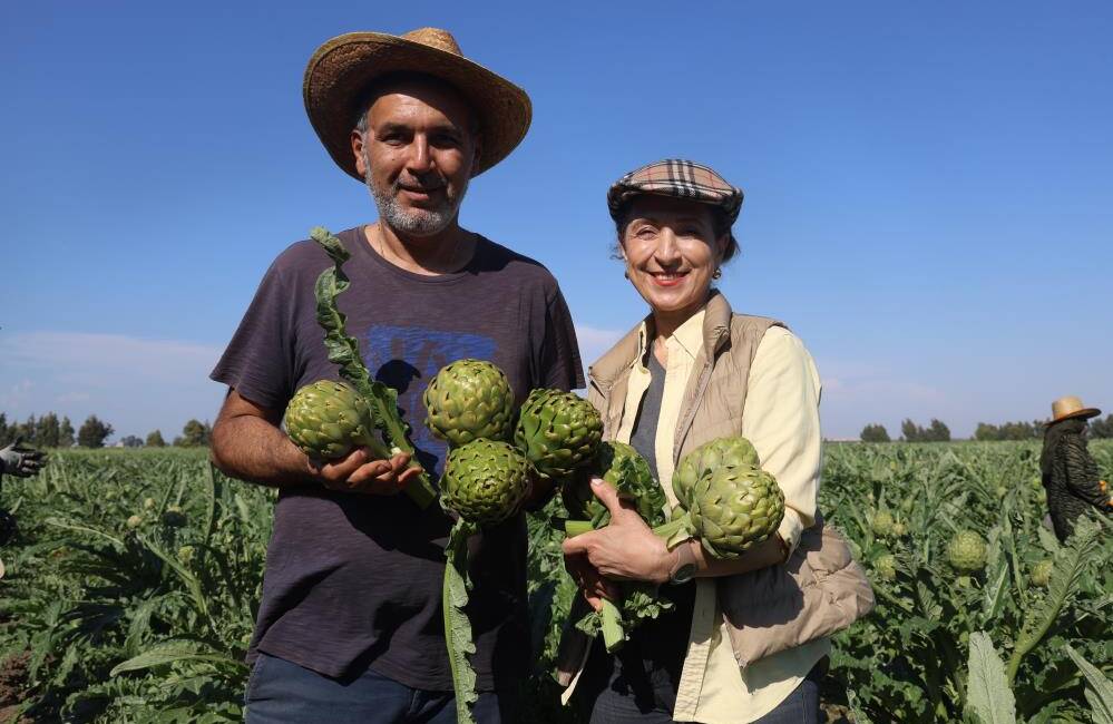 Hatay'da akademisyen çiftçi Elif Ovalı tarafından 5 dönüm arazide başlayan