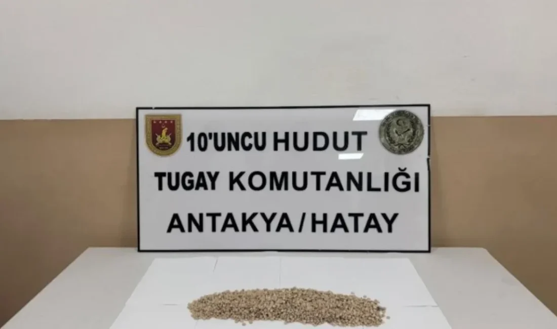 Milli Savunma Bakanlığı, Van ve Hatay sınır hatlarında gerçekleştirilen arama-tarama