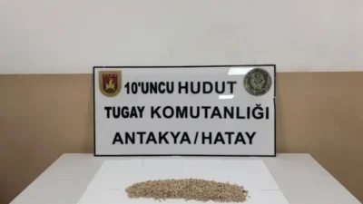 Milli Savunma Bakanlığı, Van ve Hatay sınır hatlarında gerçekleştirilen arama-tarama