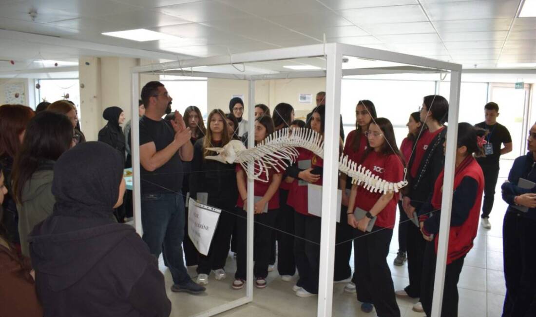 Hatay Büyükşehir Belediyesi (HBB), üniversite adayı gençlerin meslek seçimlerinde daha