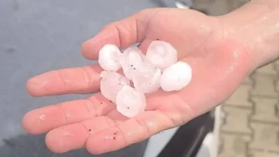 Hatay’ın Reyhanlı ilçesinde etkili olan ceviz büyüklüğündeki dolu yağışı, tarım