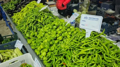 Hatay mutfağının simge tatlarından biri olan Samandağ kırmızı biberi, bu