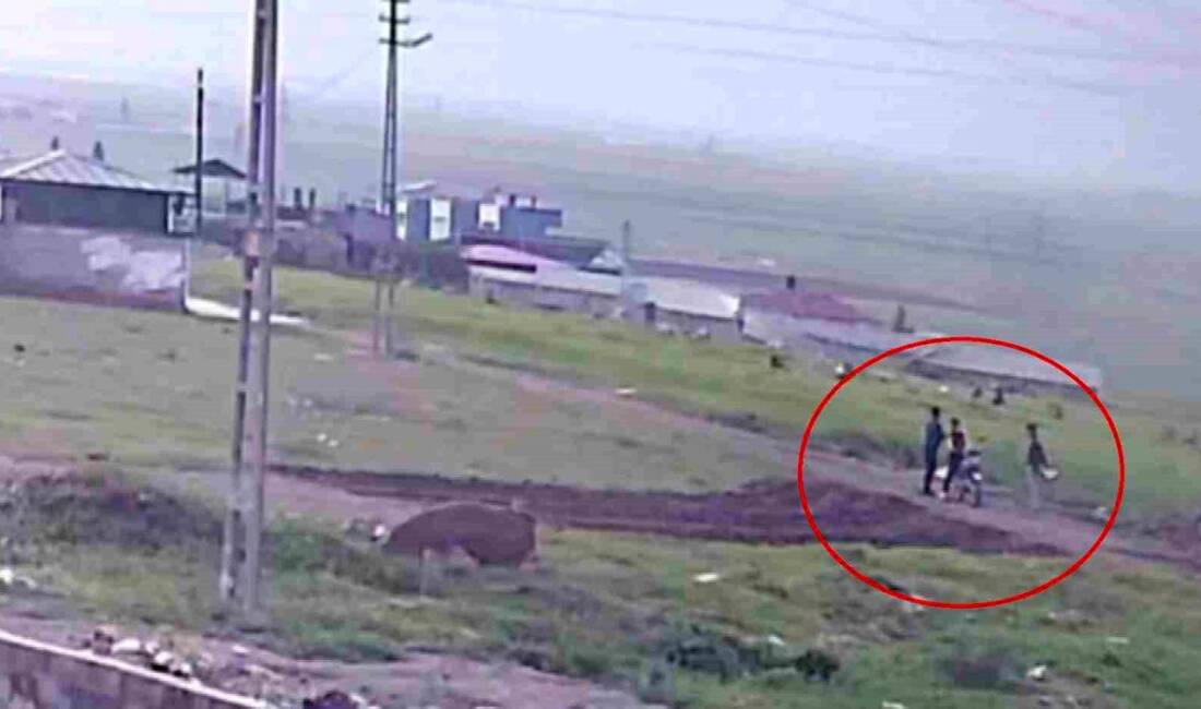 Hatay’ın Reyhanlı ilçesinde yaşanan olay, hem mahalle sakinlerini hem de