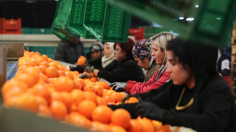 Türkiye’de kadın ihracatçıların gücü artıyor, Hatay’da durum ne ?