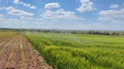 Tarım ve Orman Bakanlığı, tasarruflu sulama sistemleri için hibe limitlerini
