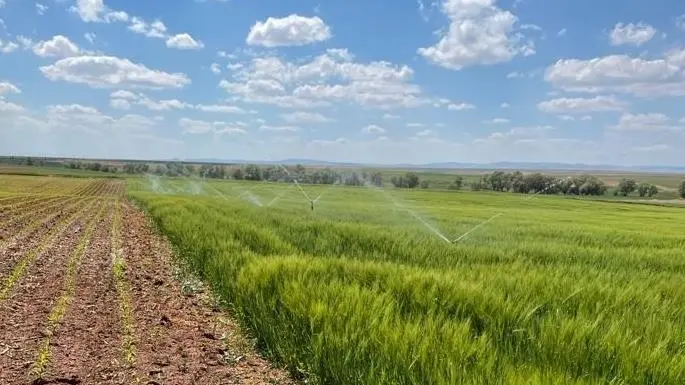 Tarım ve Orman Bakanlığı, tasarruflu sulama sistemleri için hibe limitlerini