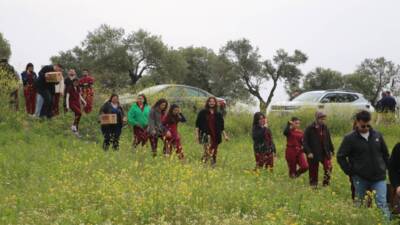 Hatay’da yaralı ve güçten düşmüş halde bulunan 10 yaban kuşu,