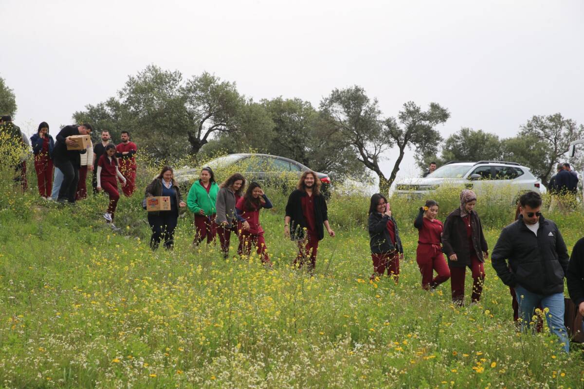 Hatay’da yaralı ve güçten düşmüş halde bulunan 10 yaban kuşu,