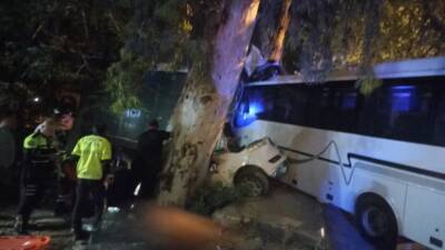 Hatay’ın Defne ilçesinde midibüs ile otomobilin karıştığı trafik kazası paniğe