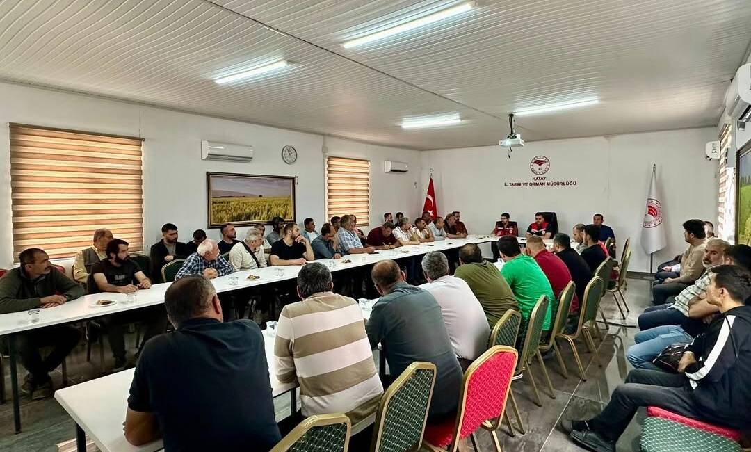Hatay’da Kurban Bayramı öncesinde canlı hayvan taşımacılığı yapan sektör paydaşlarına