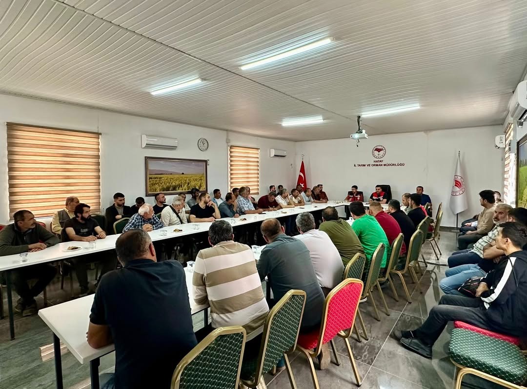 Hatay’da Kurban Bayramı öncesinde canlı hayvan taşımacılığı yapan sektör paydaşlarına