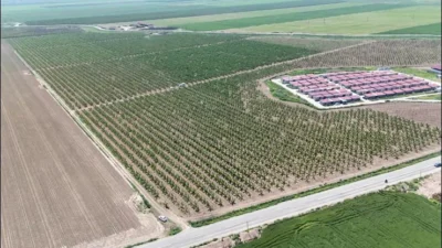 Hatay’da hava sıcaklıklarının 30 derecenin üzerine çıkmasıyla birlikte Amik Ovası’nda