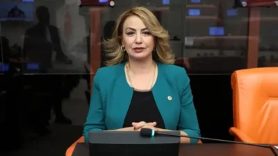 Cumhuriyet Halk Partisi Hatay Milletvekili Nermin Yıldırım Kara, Mesleki Eğitim