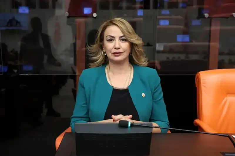 Cumhuriyet Halk Partisi Hatay Milletvekili Nermin Yıldırım Kara, Mesleki Eğitim