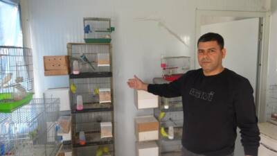 Antakya ilçesinde yaşayan Abdullah Çıplak, 13 yaşında yakaladığı muhabbet kuşuyla